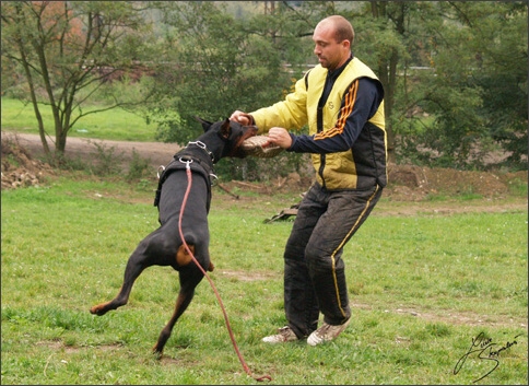 Training in Prague 10/2007